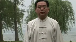 Yang Style TaiChi Quan :: 85 posture :: Grandmaster Zhao Youbin