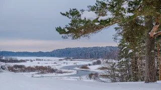 Зимние пейзажи Пушкинских гор.