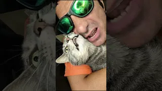 ITALOMICIO PARODIA #italidisco #parodia #gatti