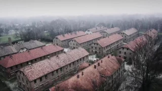 A Violinista de Auschwitz - Book Trailer 2