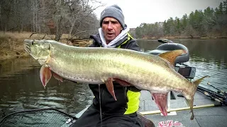 Live Bait Musky – Fishing Edge TV