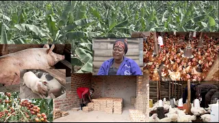 FROM HOUSE WIFE TO A SUCCESSFUL FARMER SEE HOW SHE STARTED HER JOURNEY