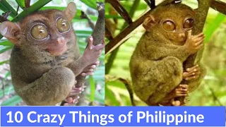 Top 10 Crazy Things You Will Find Only In The Philippines | Strange things |