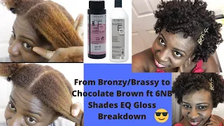 From Bronzy/Brassy Brown to Chocolate Brown ft 6NB Shades EQ Gloss Breakdown