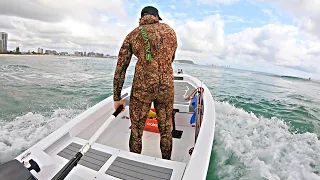 Local Reef Fish For Lunch | Spearfishing Gold Coast | Catch Fillet Cook | VLOG