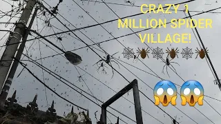 BIGGEST GOLDEN ORB SPIDERS!! 😱🕷🕸SCARY SPIDER VILLAGE! Corey Wild #bigspider #spider