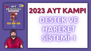 Destek Hareket Sistemi - 1 AYT Biyoloji Kampı Konu Anlatımı/ 11.Sınıf 2024 Tayfa