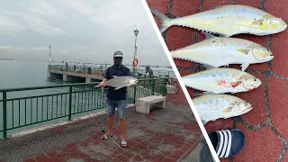 Bedok Jetty, Day 6 from 8. My catch: 1, 2, 3, 5kg queenfish, todak, and monster broke 50lbs line