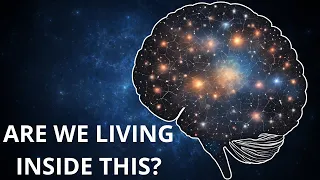 Could The UNIVERSE Be Someone's MIND?