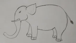 how to draw eliphant #drawing #eliphant #pencildrawing