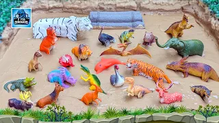 Muddy Dinosaur Adventure! Fun Learning with Prehistoric Giants & Zoo Animals | D for Dinosaur
