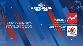 Сибирь (с. Подсинее) — Металлург (Череповец) | Любитель 50+. Малый кубок (06.05.2024)