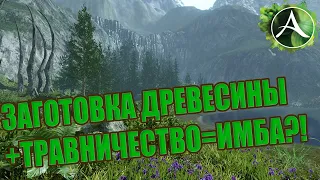 СТОИТ ЛИКАЧАТЬ ЗАГОТОВКУ ДРЕВЕСИНЫ РАДИ КРАФТА РОЩИЦ? РЕАЛЬНО ЛИ НА НИХ ЗАРАБОТАТЬ В ArcheAge