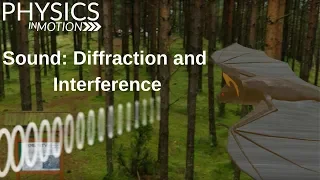 Sound: Diffraction and Interference | Physics in Motion