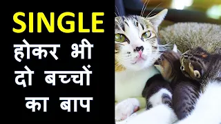 Heartwarming Tale: Cat Gives Birth to Kittens | Bhargav's Care for Momma Cat & Her Babies