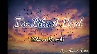 I'm Like a Bird (Slow + Reverb)... very calming song 🎵 🎵🎧... use headphones for best sound 🎧