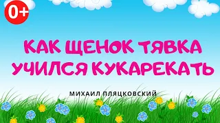 Как щенок Тявка учился кукарекать. Аудиосказка. М. Пляцховский. Сказки для детей (0+)