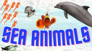 Sea Animals | Facts on sea animals | [5 amazing sea animals] | #seaanimals #clownfish #seahorse