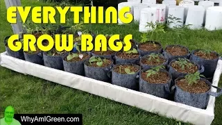 Grow Bags 101 - Welcome to my Grow Bag Urban Homestead