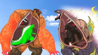 KONG X Swallow GODZILLA vs Evolution of GODZILLA 5TH: Size Comparison | Godzilla x KONG Cartoon