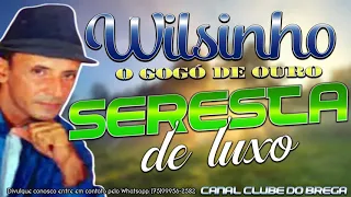 Wilsinho o Gogó de ouro - Seresta de Luxo