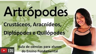 Aula Artrópodes:crustáceos,aracnídeos,diplópodes e quilópodes