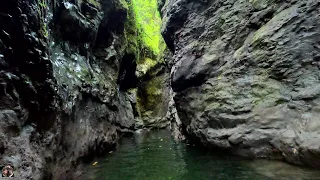 Зеленый каньон. По ущелью вплавь до тупика. Абхазия, Новый Афон, 4K. Gorge-dead end, New Athos 2022.