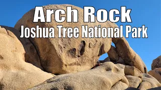 Joshua Tree National Park - Arch Rock Tour