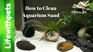 How to Clean Aquarium Sand