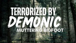 Demonic Muttering BIGFOOT Terrorizes Campers | BIGFOOT ENCOUNTERS PODCAST Over 1 Hour SCARY STORIES