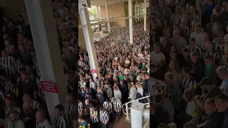 Newcastle fans singing the Sandro Tonali song #nufc #football #newcastle #newcastlefootball