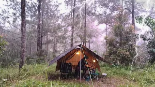 AMAZING CAMPING IN HEAVY RAIN AND THUNDERSTORM ⛈️ NEW TENT WITH CAMFIRE