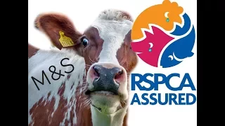 “M&S' Milk is Ethical”, Says RSPCA