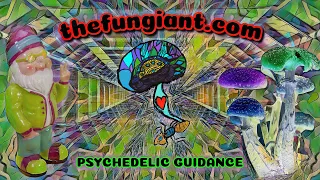 Guided meditation - useful for psychedelic integration