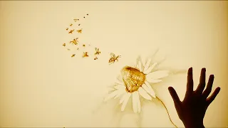 Sand Art Video 4K - "Bee" happy!  - Sandmalerei video - Künstlerin Anna Kehden (Telbukh)