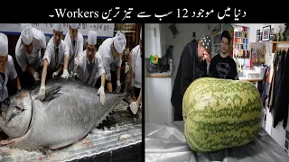 12 Most Fast Workers In The World Urdu | دنیا کے تیز ترین ورکر | Haider Tv