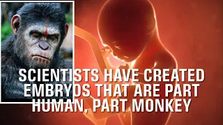 (-3) Scientists Have Created Embryos That Are Part Human, Part Monkey