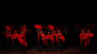 spectacle flamenco