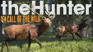 TheHunter Call of the wild #9 Манок есть, надо лук