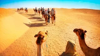 Luxury Desert Experience in Dubai: Camel Safari with Dinner and Emirati Activities