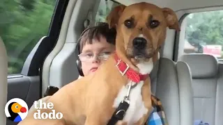 Pittie Opens Up The Whole World For This Kid | The Dodo