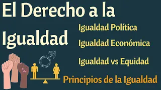 El Derecho a la Igualdad - Los Principios inherentes a la Igualdad