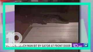 Florida man bit by alligator after opening door