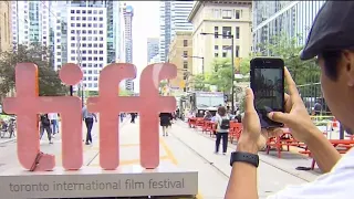 Highlights of TIFF so far