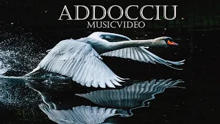 Addocciu | Synth feat. Guitars