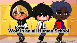 Wolf in an all Human School (Gay GCMM)