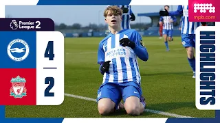 PL2 Highlights: Brighton 4 Liverpool 2