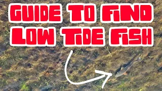 HOW TO Find LOW TIDE Inshore FISH - Tampa Bay Fishing