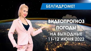 Видеопрогноз погоды по областям Беларуси на выходные 11-12 июня 2022 года