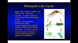 Mosquito Biology, Surveillance, and Control with Elmer Gray